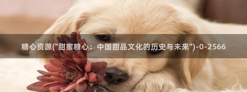 心糖.vlog：糖心资源(\