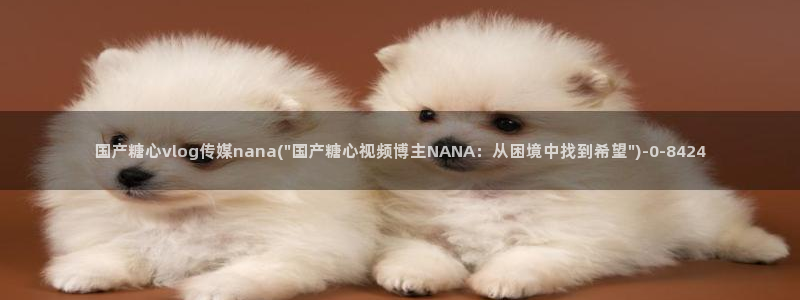 糖心vlog官网下截：国产糖心vlog传媒nana(\