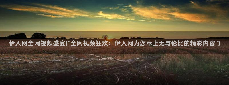 伊人久久一影院