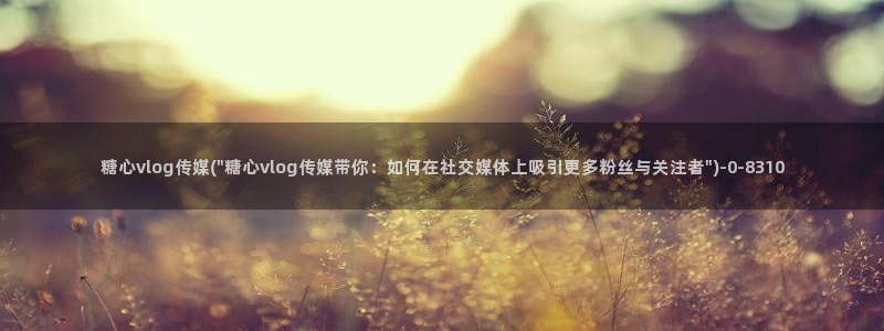 糖心vlog免费版下