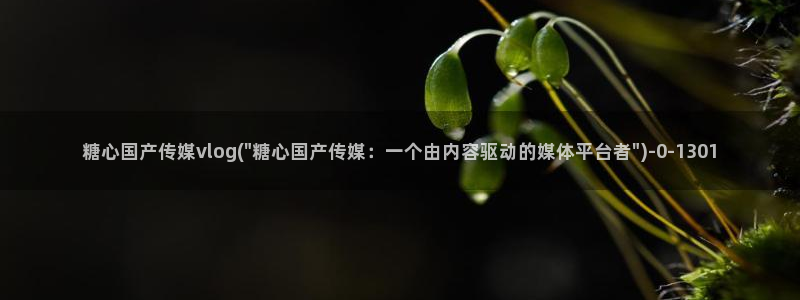 糖心vlog怎么加入