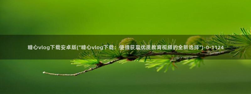 www.糖心vlog.