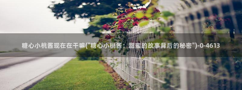 糖心vlog现在该看糖心了